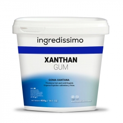 GOMA XANTANA ENVASE 400g